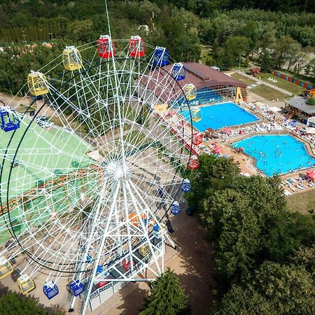 Апартаменты Luxury Bucovina Гура-Гуморулуй Экстерьер фото